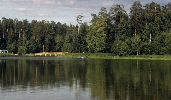Жителей столицы пригласили послушать пение лягушек в парке «Кузьминки-Люблино»