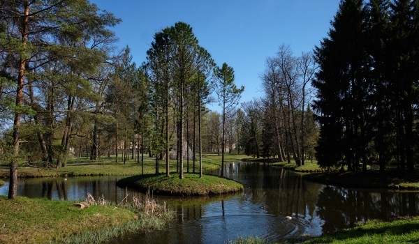 Территорию парка-усадьбы Кленово с вековыми деревьями в ТиНАО благоустроит победитель аукциона