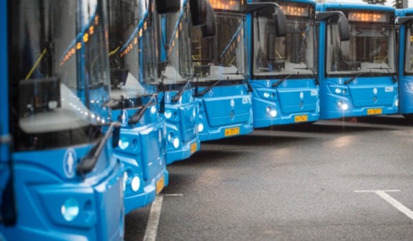 Мосгортранс обновит парк автобусов для обслуживания детей и школьников
