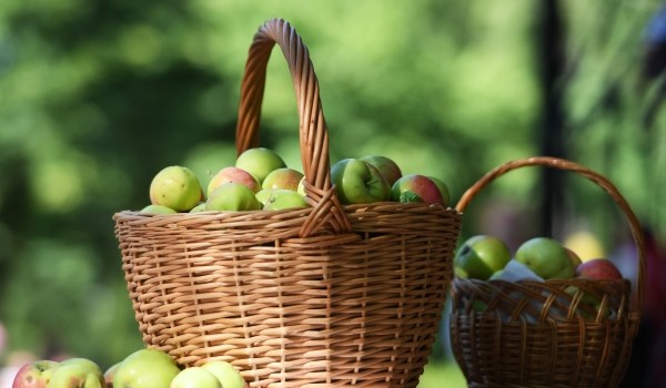 Медовый, яблочный и ореховый спасы отметят на природных территориях Москвы с 14 по 29 августа