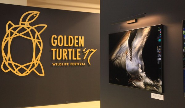 6 сентября – 2 октября - XIII фестиваль дикой природы «Золотая Черепаха»