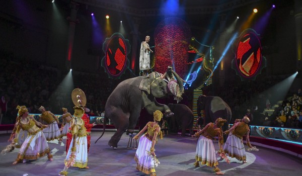 В Москве и Санкт-Петербурге построят два инновационных цирка