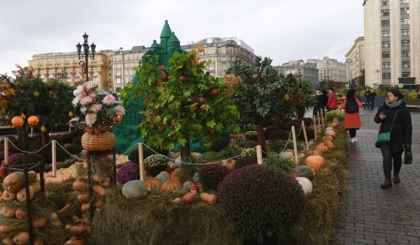 Свыше 20 раритетных тракторов покажут на выставке гостям фестиваля «Золотая осень» в столице