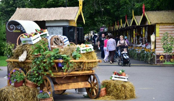 Более 450 кулинарных мастер-классов пройдет на фестивале «Золотая осень»
