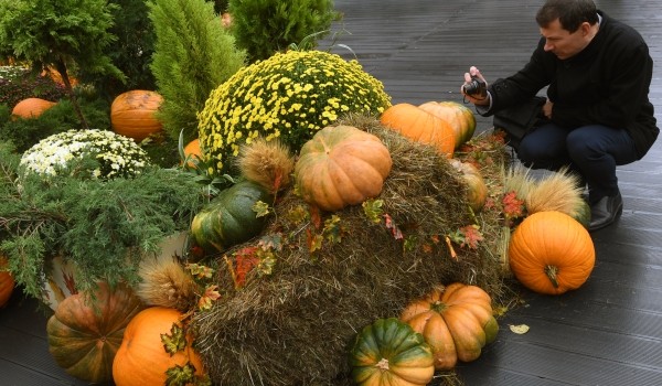 Магазины Москвы сделают скидку до 30% на сельскохозяйственные товары во время фестиваля «Золотая осень»