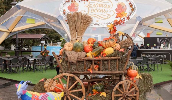 В дни "Золотой осени" на московских ярмарках можно приобрести продукты более чем из 30 регионов России