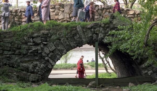 Померанцевую оранжерею в Нескучном саду реконструируют