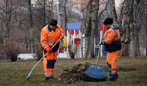 В столице убирают опавшую листву для поддержания санитарного состояния