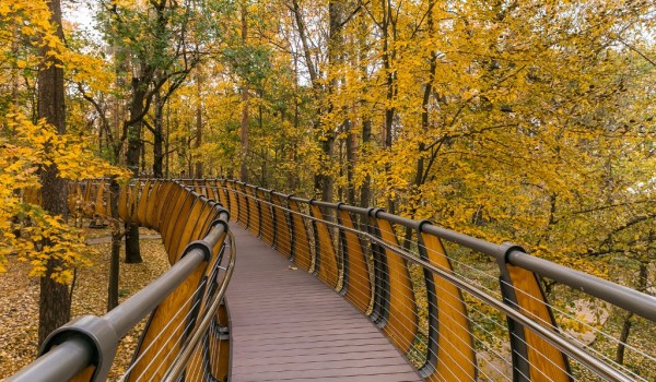 Москвичи высоко оценили экотропу в Ландшафтном парке ВДНХ