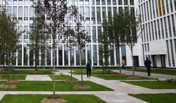 В Измайлово осенью высадили порядка 600 деревьев и кустарников