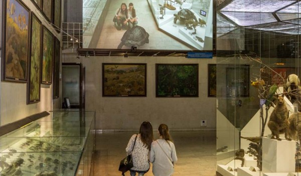 В павильоне МЦД пройдет выставка Дарвиновского музея в преддверии Всемирного дня науки