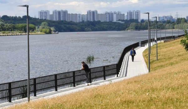Бесхозный самострой снесли в Парке «850-летия Москвы»