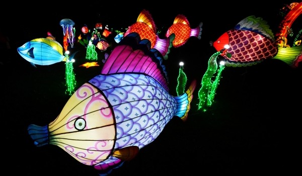 «Фестиваль волшебных китайских фонарей» пройдет в парке «Сокольники» с 29 ноября