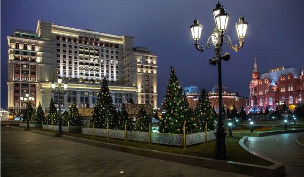 Первые новогодние елки в Москве