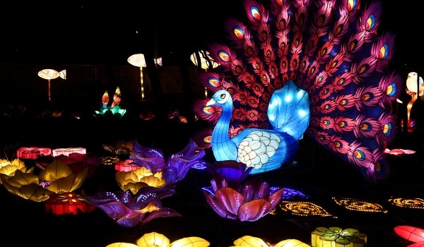 Свыше 45 композиций представили на «Фестивале волшебных китайских фонарей» в парке «Сокольники»