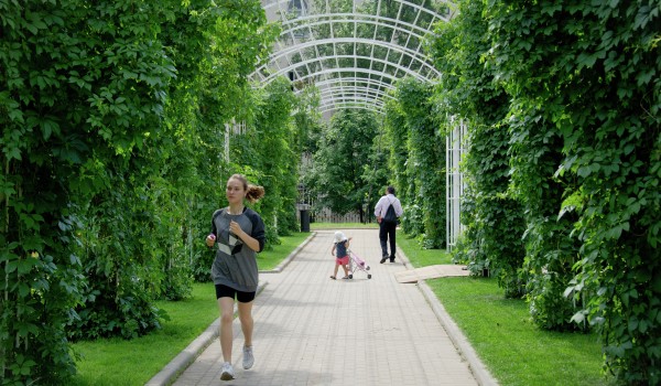 На сегодняшний день в «Новой» Москве создано 20 парков