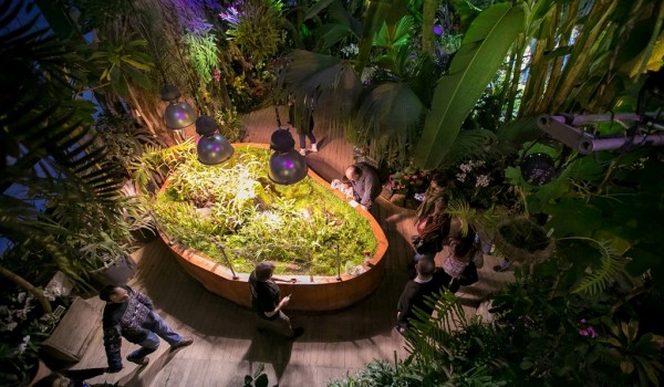 В «Аптекарском огороде» пройдут бесплатные квесты по оранжереям для взрослых и детей