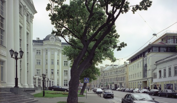 Планов введения пропусков именно для пешеходов пока не было
