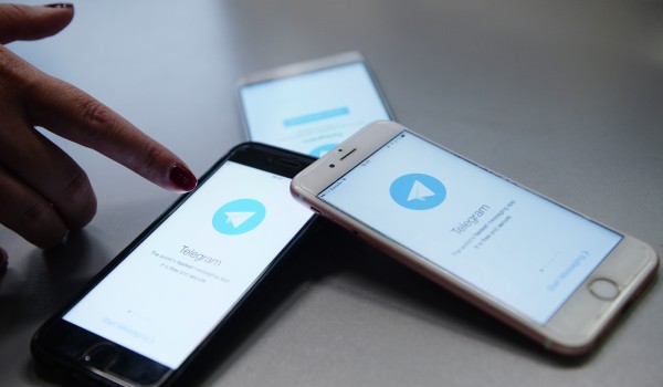 Дептранс запустил в Telegram бота по проверке прикрепления автомобилей к цифровым пропускам