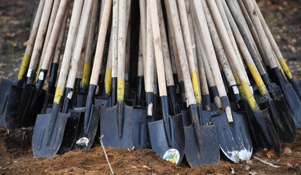 На осень перенесли высадку растений в Пресненском парке столицы