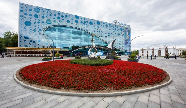 Морские глубины онлайн: в «Москвариуме»  на ВДНХ отметят Всемирный день океанов