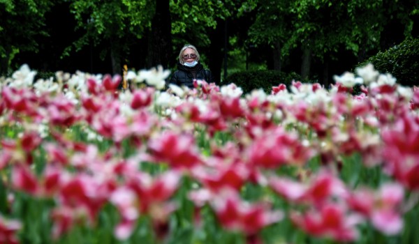 Петр Бирюков: Москву этим летом украсят цветники общей площадью около 500 тыс. кв. м