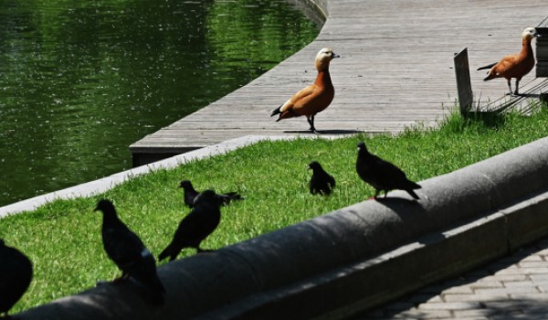 Эколого-просветительские центры Москвы начнут прием посетителей с 16 июня