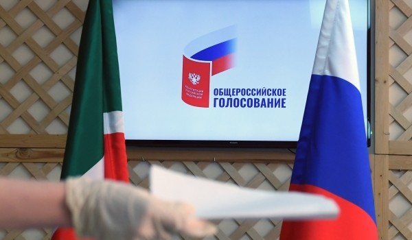 Наблюдатель за голосованием по Конституции отметил конфиденциальность процесса