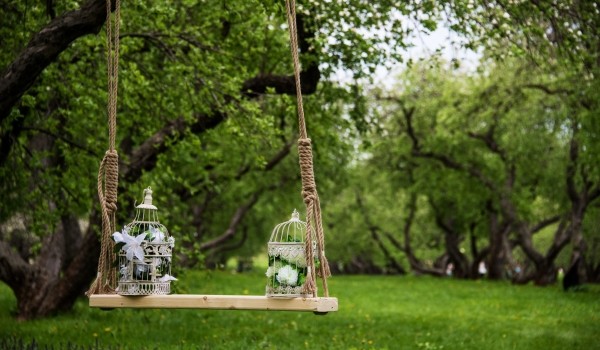 Краснокнижный колокольчик круглолистный зацвел в парке «Кузьминки-Люблино»