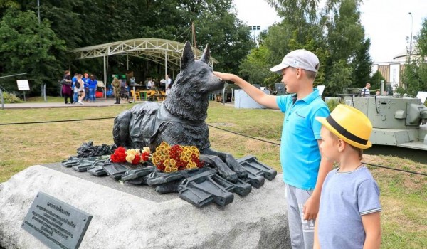 День фронтовой собаки отпразднуют в Музее Победы