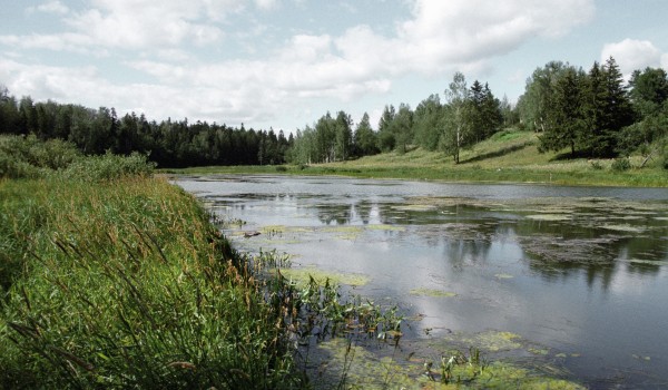 Депутат МГД Евгений Герасимов рассказал о 100-летнем юбилее образования музея в усадьбе «Абрамцево»