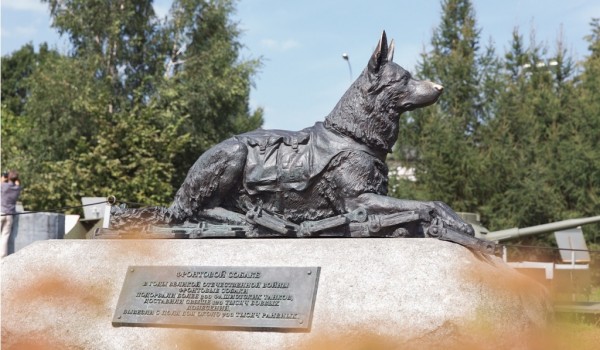 Маленьких москвичей научат лепить служебную собаку