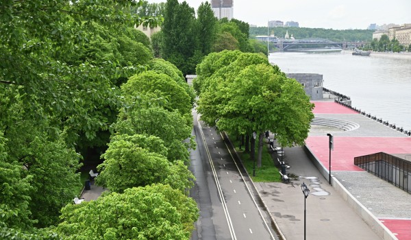 Москвичи могут сделать фото с водителем паровой машины и посмотреть в бинокуляры в видовых точках столицы