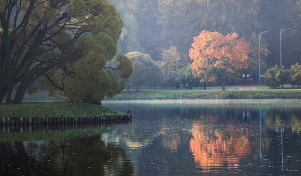 Собянин: В Москве посещение ООПТ останется бесплатным и впредь