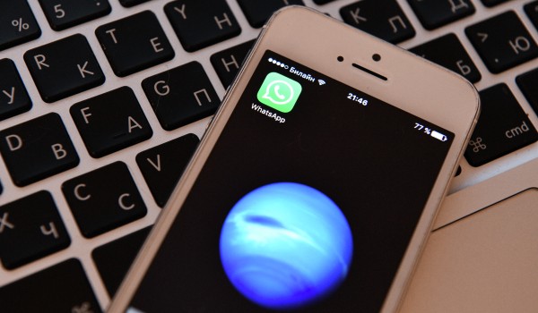 Выставки, мастер-классы и конкурсы в режиме онлайн организуют столичные парки ко Дню матери