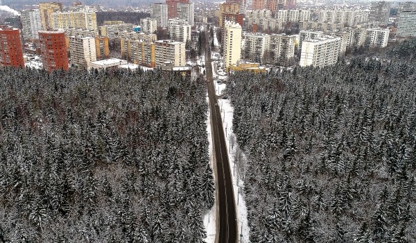 Фестиваль «Московская экорезиденция волонтеров и городских активистов» пройдет в онлайн-формате