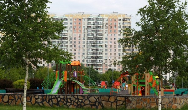 Осенью в столице высажено более 5 тысяч именных деревьев