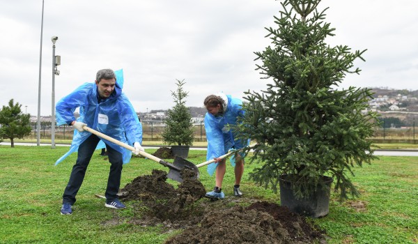 Депутат МГД Киселева: Более 3 тыс. деревьев высадят в столице в 2021 году в честь рождения детей