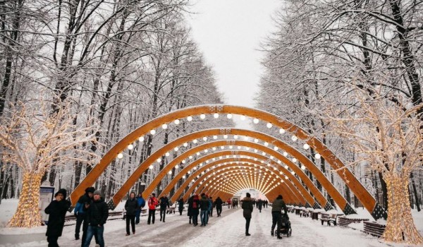 Онлайн-программа в парках Москвы с 18 по 24 января