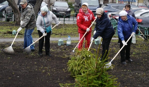 Собянин: Общегородской субботник пройдет в столице 24 апреля