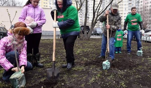 Более 11 тыс. кустарников планируется посадить в рамках месячника по благоустройству в Москве