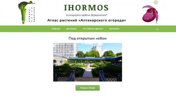 Электронный атлас растений «Аптекарского огорода» IHORMOS представили 15 апреля