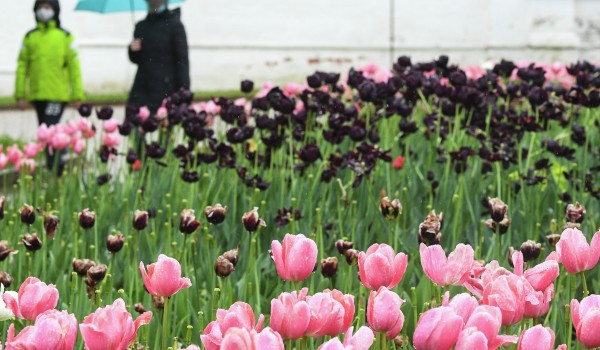 В столице планируется благоустроить Репинский сквер