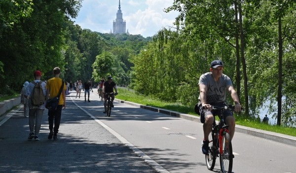 Городские службы Москвы усилили полив деревьев и газонов из-за жаркой погоды
