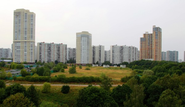 С начала года количество самостроя на западе Москвы снизилось на 32%