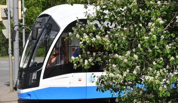 40 новых низкопольных трамваев выведут на маршруты столицы на три месяца раньше срока