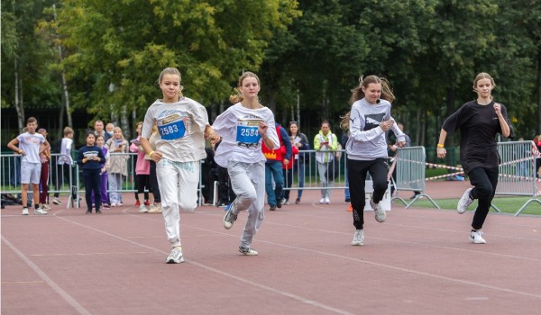 Спортивные клубы появятся во всех школах столицы и регионов России к 2024 году