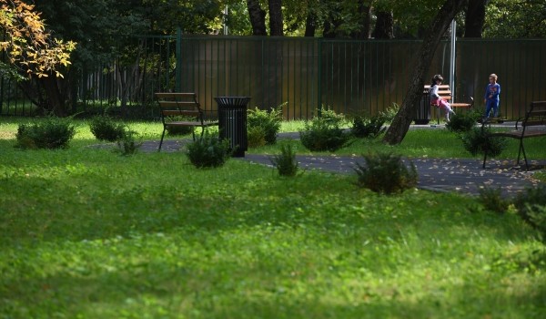 На месте снесенного самостроя в жилом квартале на Беговой появилась зеленая зона