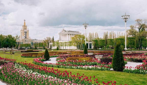 Собянин: «Цветочный джем» завершит сезон летних городских фестивалей