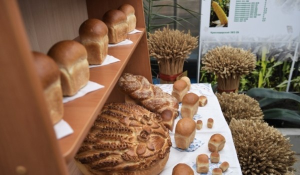 ВДНХ приглашает на открытие «Школы пекарей»